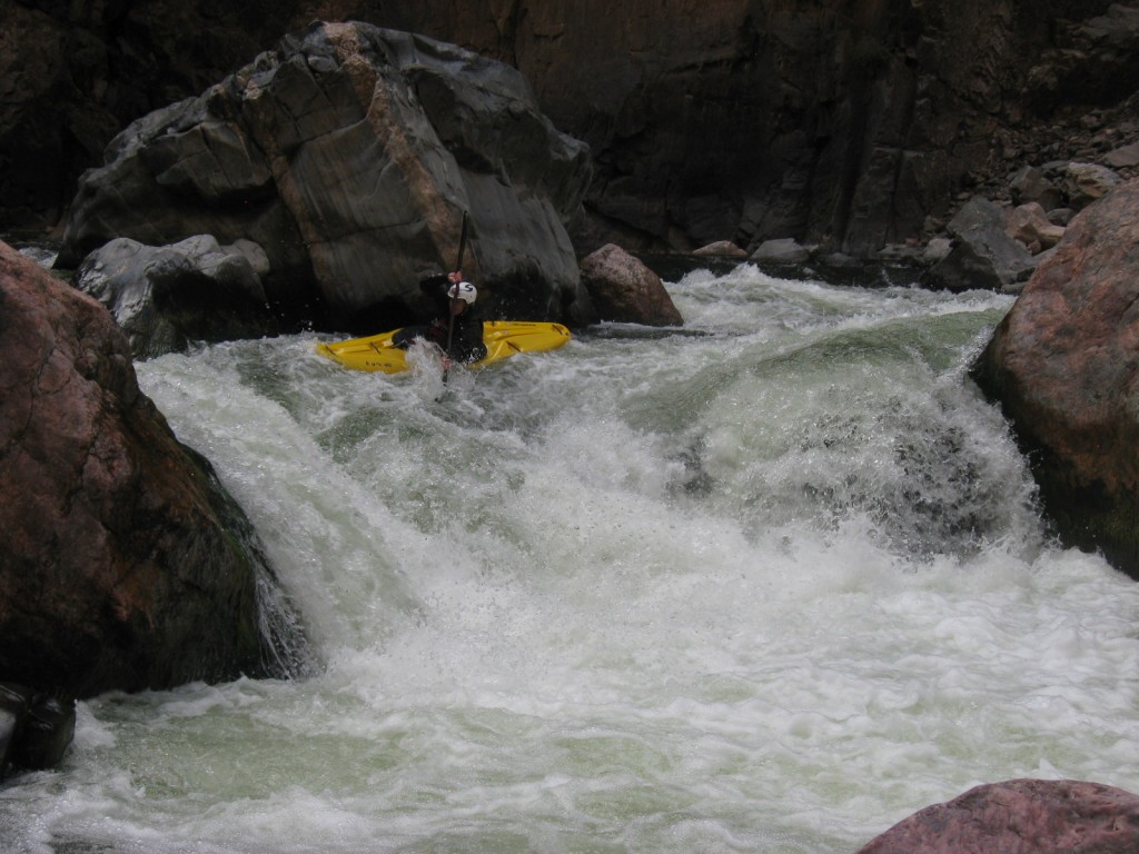bc-2010-019