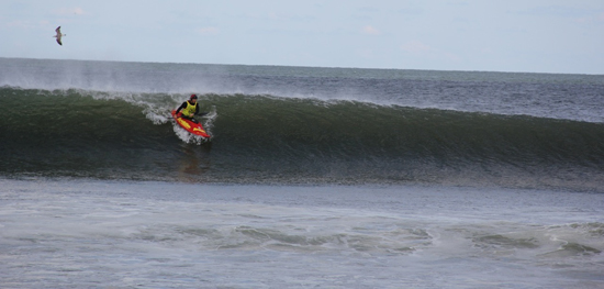 terry_petch_drops